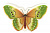Ночник светодиодный Camelion NL-239, с выкл.Бабочка, 220 V, 0,5 Вт