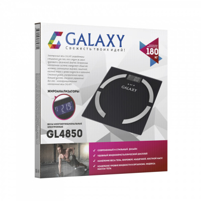 Galaxy Весы-анализаторы многофункциональные GL4850_2